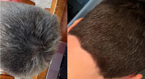 Screenshot evidence involving Antal with white hair