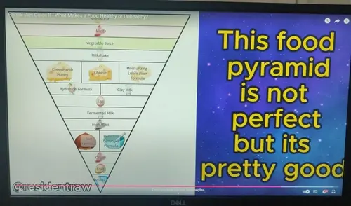 Screenshot of a Primal Diet food pyramid