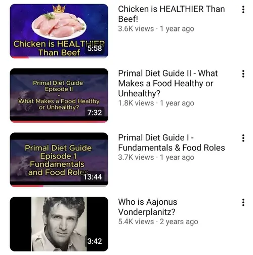 Screenshot of Residentraw beginner video content